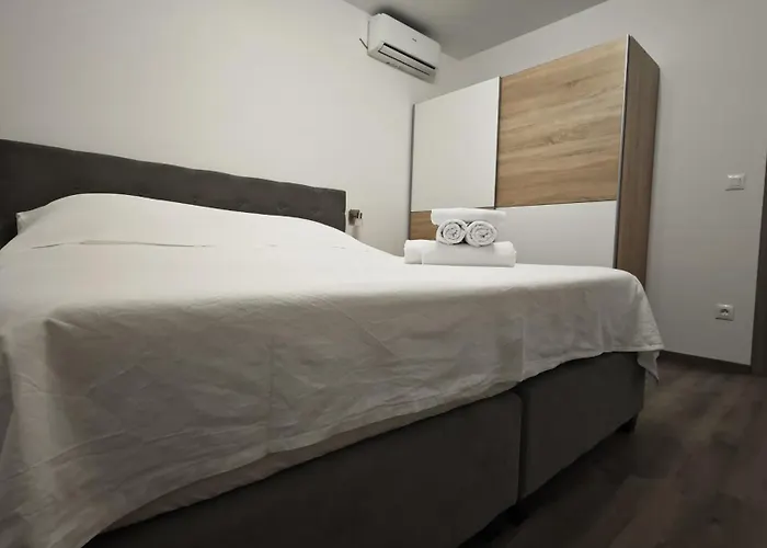 فيلة Pauliana بوفليانا